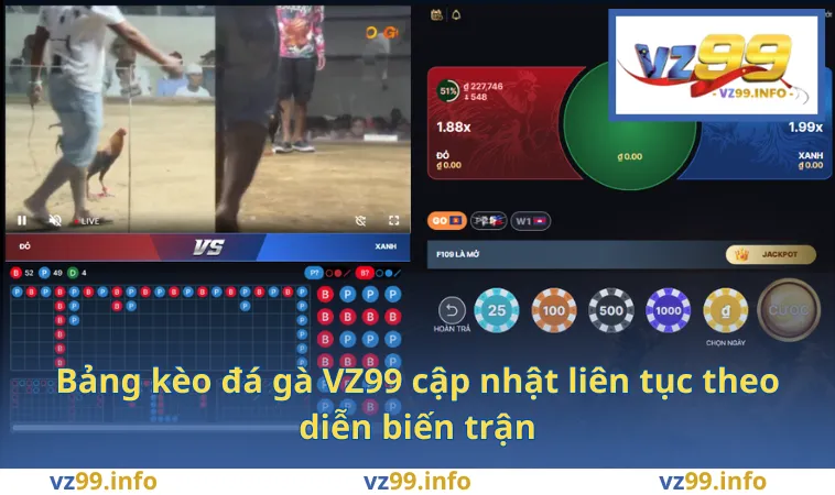 Bảng kèo đá gà VZ99 cập nhật liên tục theo diễn biến trận