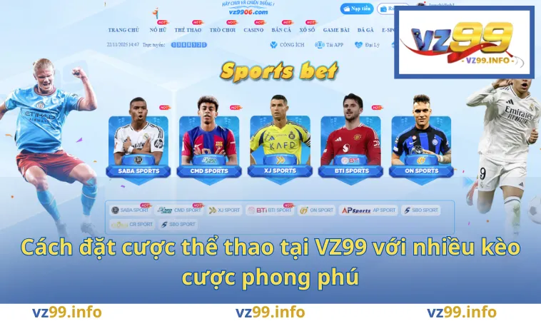 Cách đặt cược thể thao tại VZ99 với nhiều kèo cược phong phú
