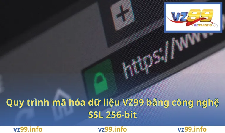 Quy trình mã hóa dữ liệu VZ99 bằng công nghệ SSL 256-bit
